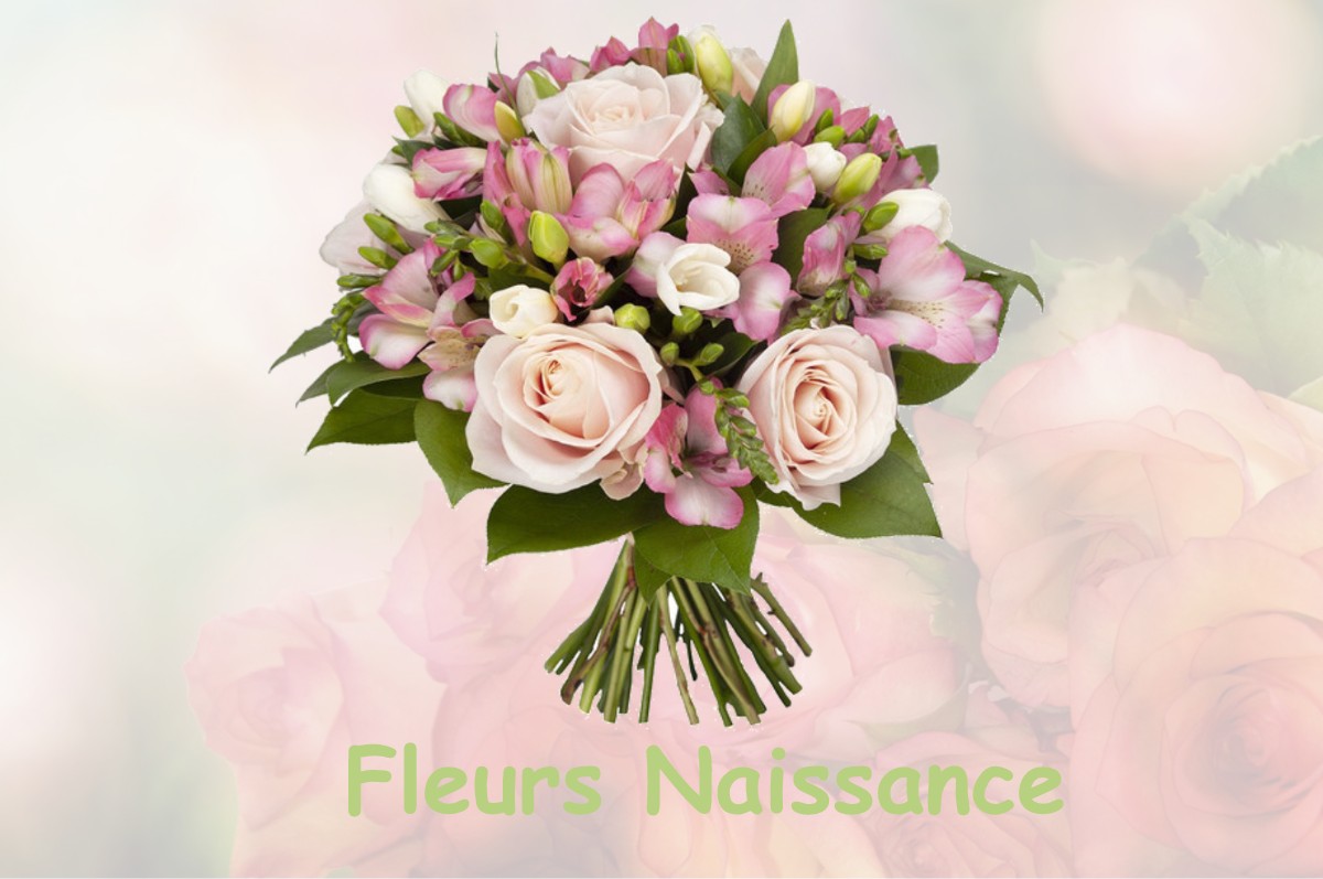 fleurs naissance NANCRAY-SUR-RIMARDE
