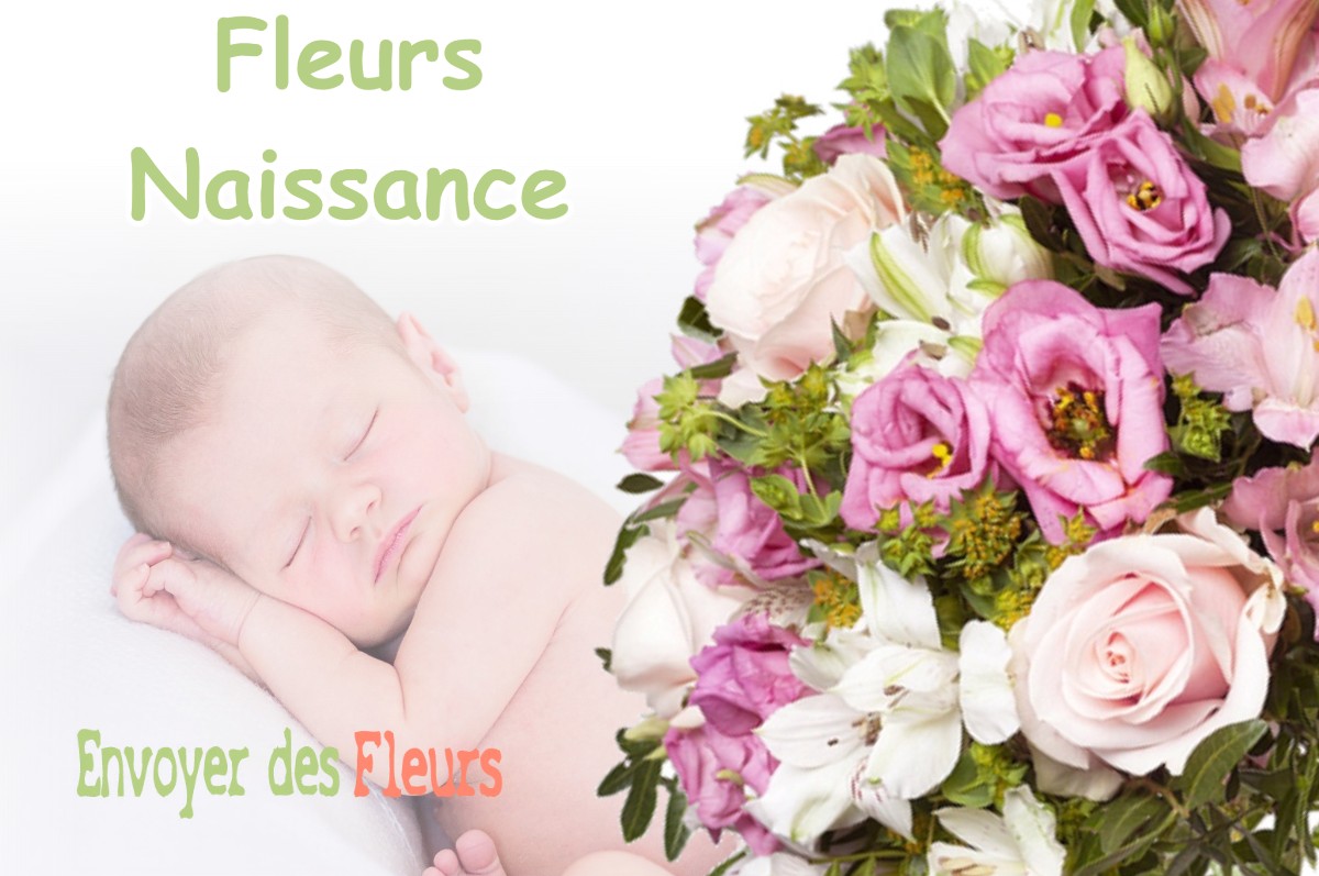 lIVRAISON FLEURS NAISSANCE à NANCRAY-SUR-RIMARDE